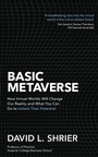 Cover: Basic Metaverse - Robinson