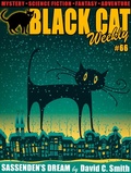 Cover: Black Cat Weekly #66 - Wildside Press
