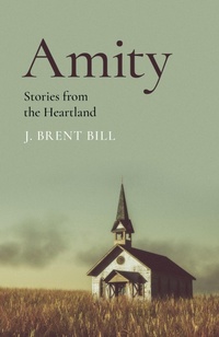 Enlarge image Cover: Amity - John Hunt Publishing