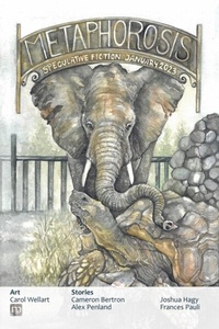 Enlarge image Cover: Metaphorosis January 2023 - Metaphorosis Magazine