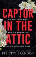 Cover: Captor In The Attic - Felicity Brandon