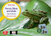 Abbildung von: Frosch, Biber und Libelle. Tiere am Wasser. Kamishibai Bildkarten und Memo-Spiel - Don Bosco Medien
