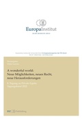 Cover: A wonderful world: Neue M&ouml;glichkeiten, neues Recht, neue Herausforderungen - buch & netz