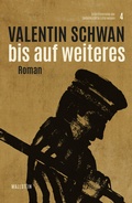 Cover: Bis auf Weiteres - Wallstein