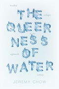 Cover: The Queerness of Water - Naval Institute Press