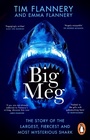 Cover: Big Meg - Transworld Digital