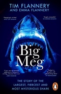Cover: Big Meg - Transworld Digital