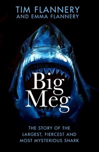 Enlarge image Cover: Big Meg - Doubleday