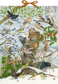 Cover: Sound-Adventskalender - Unsere V&ouml;gel im Winter - Coppenrath