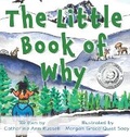 Cover: The Little Book of Why - Basketful Relief Project