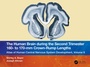 Cover: The Human Brain during the Second Trimester 160- to 170-mm Crown-Rump Lengths - CRC Press