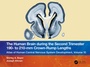 Cover: The Human Brain during the Second Trimester 190- to 210-mm Crown-Rump Lengths - CRC Press