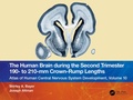 Abbildung von: The Human Brain during the Second Trimester 190- to 210-mm Crown-Rump Lengths - CRC Press