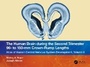 Cover: The Human Brain during the Second Trimester 96- to 150-mm Crown-Rump Lengths - CRC Press