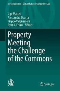 Enlarge image Cover: Property Meeting the Challenge of the Commons - Springer
