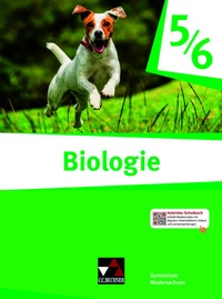 Abbildung von: Biologie - Niedersachsen / Biologie Niedersachsen 5/6 - Buchner, C.C.