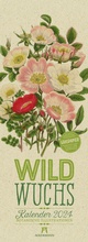 Cover: Wildwuchs - Botanische Illustrationen - Graspapier-Kalender 2024 - Ackermann Kunstverlag