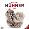 Cover: Verr&uuml;ckte H&uuml;hner Kalender 2024 - 30x30 - Ackermann Kunstverlag