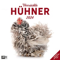 Abbildung von: Verrückte Hühner Kalender 2024 - 30x30 - Ackermann Kunstverlag