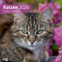 Bild: Katzen Kalender 2024 - 30x30 - Ackermann Kunstverlag