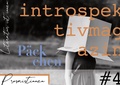 Cover: introspektiv #4 - P&auml;ckchen - Sabine Gelsing & Julia Hoch Literaturverlag GbR