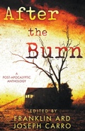 Cover: After the Burn - Rogue Owl Press