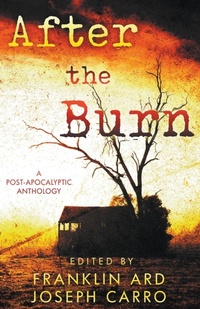 Enlarge image Cover: After the Burn - Rogue Owl Press