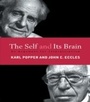 Cover: The Self and Its Brain - Routledge