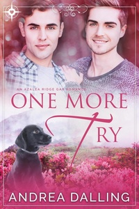 Enlarge image Cover: One More Try (I'm Your Man, #3) - Artesian Well Publishing