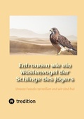 Cover: Entronnen wie ein W&uuml;stenvogel der Schlinge des J&auml;gers - tredition
