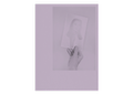Cover: Rewriting the photographic image - Fotohofedition
