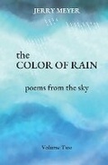 Cover: The Color of Rain - Gerald J. Meyer Jr