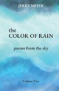 Enlarge image Cover: The Color of Rain - Gerald J. Meyer Jr