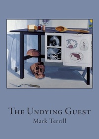 Enlarge image Cover: The Undying Guest - Spuyten Duyvil