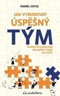 Cover: Jak vybudovat &uacute;speSn&yacute; t&yacute;m - Audiolibrix
