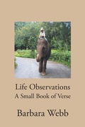 Cover: Life Observations - Page Publishing, Inc.