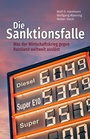 Cover: Die Sanktionsfalle - Ammian Verlag