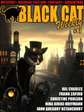 Cover: Black Cat Weekly #67 - Wildside Press