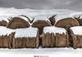 Cover: Winter - Daylight Books