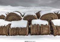 Enlarge image Cover: Winter - Daylight Books