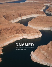 Enlarge image Cover: Dammed - Daylight Books