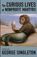 Cover: The Curious Lives of Nonprofit Martyrs - Dzanc Books