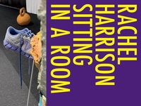 Enlarge image Cover: Rachel Harrison: Sitting in a Room - Astrup Fearnley Museet