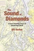 Cover: The Sound of Diamonds - Bookbaby