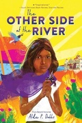 Cover: The Other Side of the River - Sourcebooks Young Readers