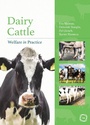 Cover: Dairy Cattle Welfare in Practice - 5M Books Ltd