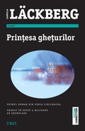 Cover: Printesa gheturilor - Publishdrive