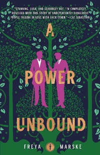 Enlarge image Cover: A Power Unbound - St Martin's Press
