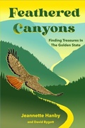Cover: Feathered Canyons - Jeannette Hanby