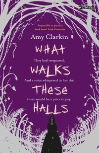 Enlarge image Cover: What Walks These Halls - O'Brien Press Ltd